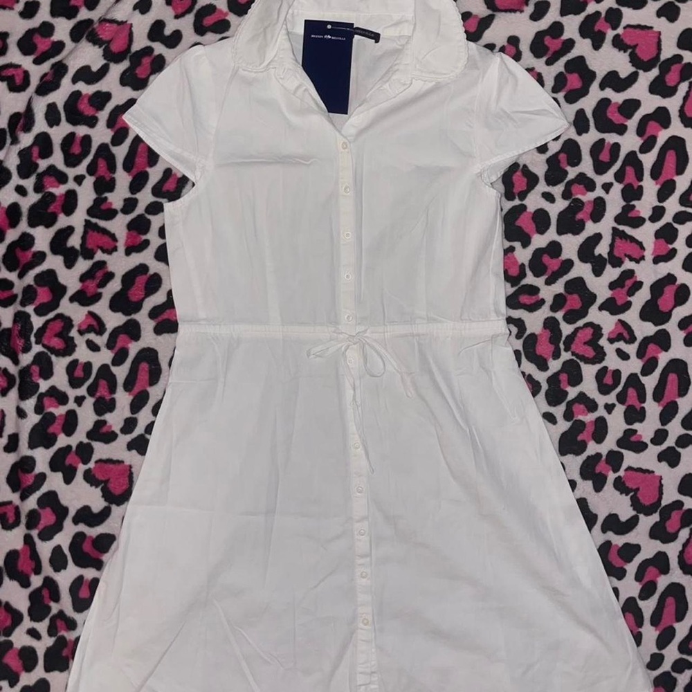 Brandy Melville Dress